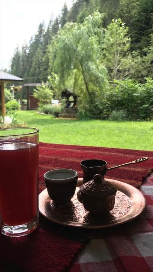 Sastanci-Grahovaca Villa Rozhajë Eksteriør bilde