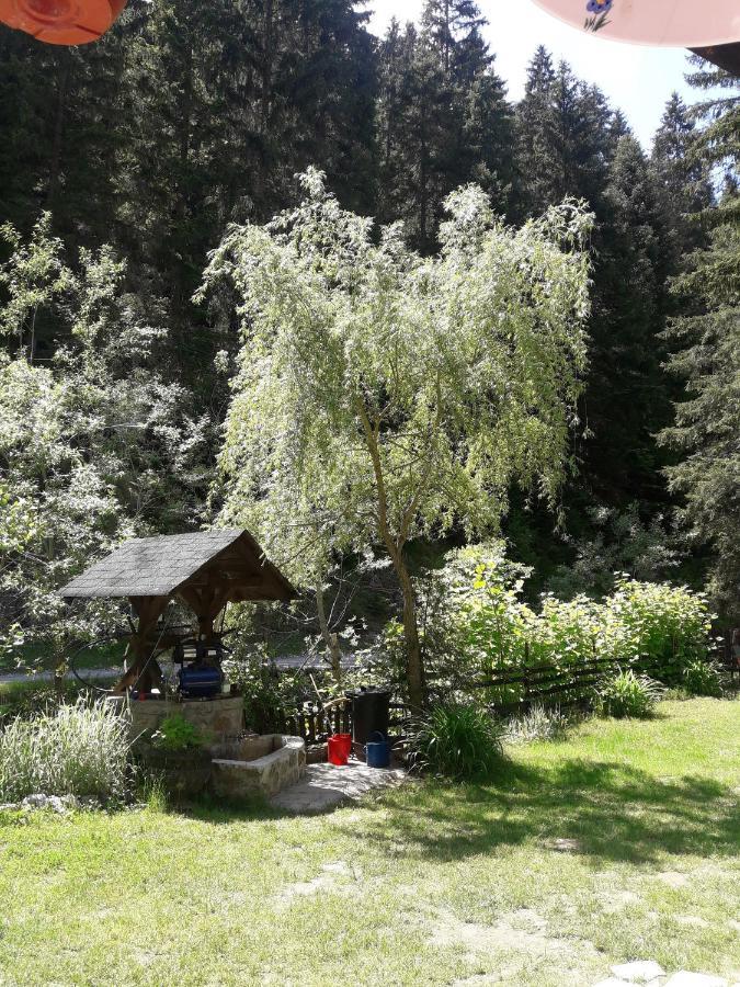 Sastanci-Grahovaca Villa Rozhajë Eksteriør bilde